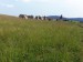 20160605_094341 (2)
